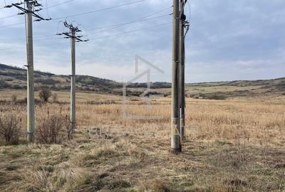 Teren agricol intravilan de 5000 mp, în Apahida - 3