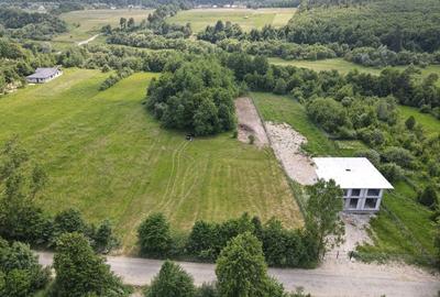 Spațiu comercial, în Horodnic - 6