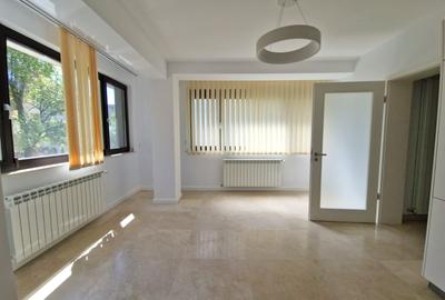 Luxury Villa for rent - Primaverii - 12