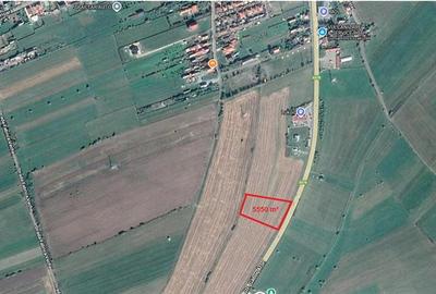 Teren agricol extravilan de 5550 mp, în Sud - 6