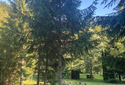 Casă cu 3 camere în Ciucea - 2