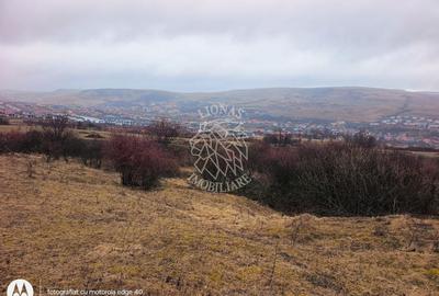 Teren agricol intravilan de 8500 mp, în Chinteni - 4