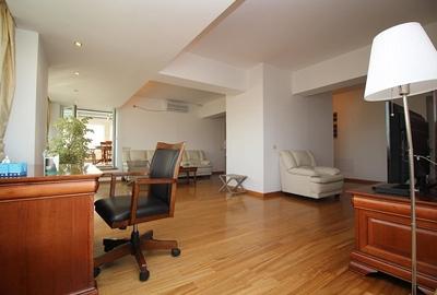 Vanzare apartament Gradina Icoanei - 7