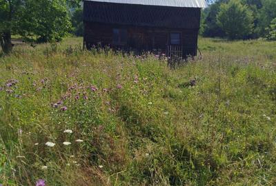 Casă cu 3 camere în Vadu Oii - 3