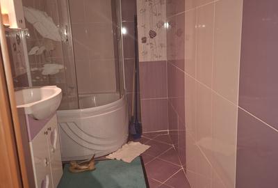 Apartament cu 2 camere decomandat, mobilat în Colentina - 13