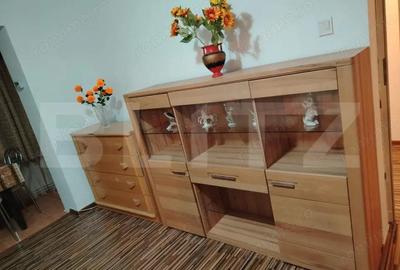 Apartament cu 2 camere semidecomandat în Botizului - 4