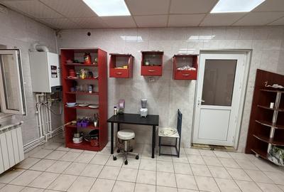 REV2004651 Casa cu Teren I Bucurestii Noi I Pretabil Dezvoltare - 13