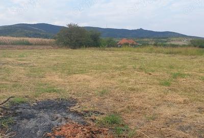 Teren de 2200 mp, în Mâsca - 6