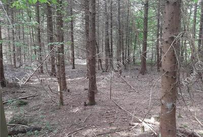 Teren intravilan  Avrig pe Valea Avrigului in zona Mlaci - 4