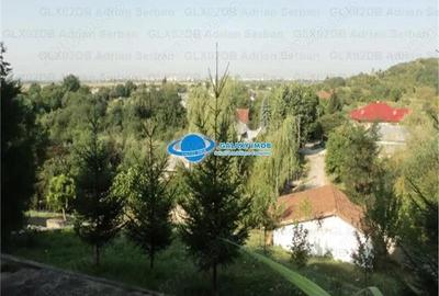 Vanzare vila P+M Targoviste, exterior sud - 17