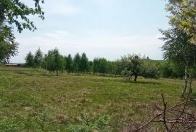 Teren intravilan de 900 mp, în Casele Micești - 3