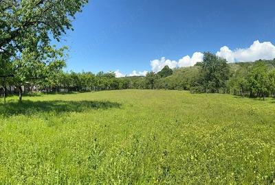 Teren de 3900 mp, în Sâmbotin - 2