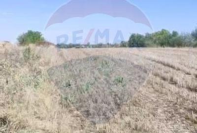 Teren 5,000mp Tantava / Strada Tufan - 3