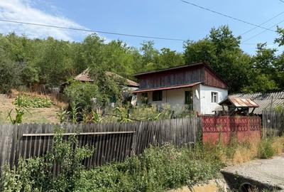 Casa rachita de sus Seaca De Padure, Dolj - 3