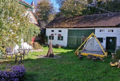 Casa de Vacan?a 24 locuri tip Hostel, Coste?ti, Hunedoara - 1