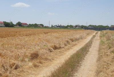 Teren situat in Balotesti,langa padure,acces drum pietruit, 28000 euro - 1