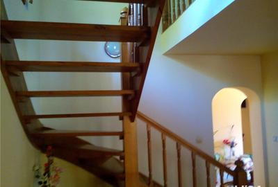 Casă cu 6 camere cu Teren 4000 Mp în Săvârșin - 9