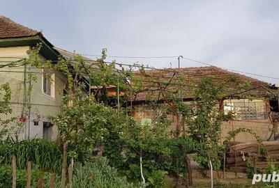 Casă în Orevița Mare - 7