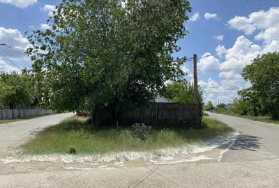 Casă cu Teren 1030 Mp în Ograda - 10