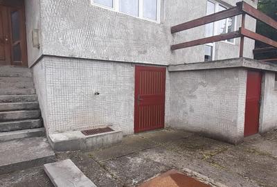 Baia Sprie, casa caramida - 2