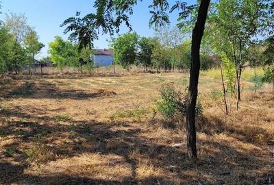 Casă cu 3 camere cu Teren 1300 Mp în Tudor Vladimirescu - 4