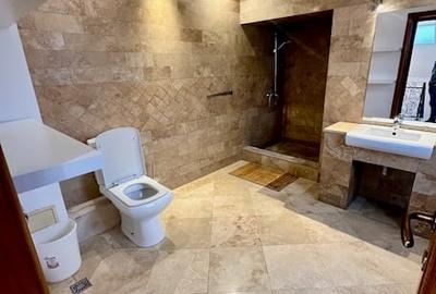 Vila individuala cu 8 camere/garaj/ pretabil -locuinta/office/clinica - Aviatiei - 13