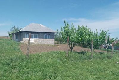 Casă cu 4 camere cu Teren 1300 Mp în Avântu - 2