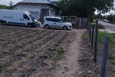 Casă cu 2 camere cu Teren 5000 Mp în Zlata - 6