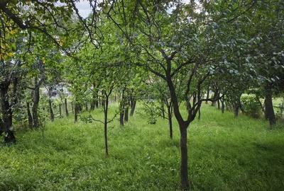 Casa batraneasca in Bretcu (Covasna) la schimb cu garsoniera in orasul Brasov - 2
