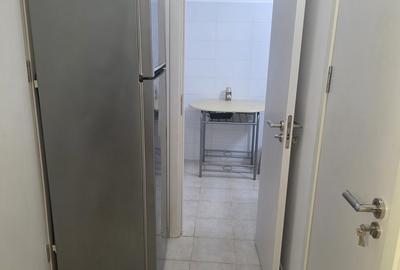 Sala Palatului, Ion Campineanu, parcul Cismigiu - 3