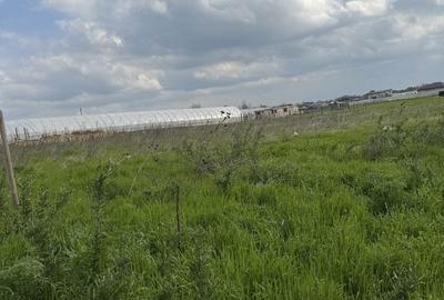 Spațiu comercial, în Berceni - 3