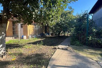 Casă cu 4 camere în Amara - 2