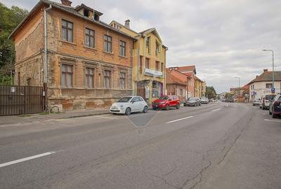 Vila pe str Alexandru Ioan Cuza, 10 camere, S + P + E, teren 282 mp - 23