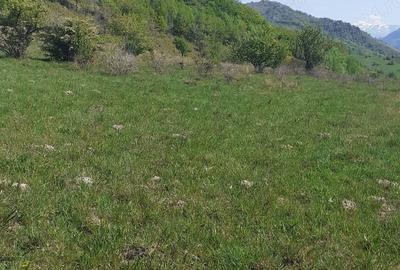 Teren în Cornereva - 5