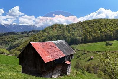 Peisaj spectaculos | Utilitati ITeren intravilan Moieciu I Comision 0% - 8