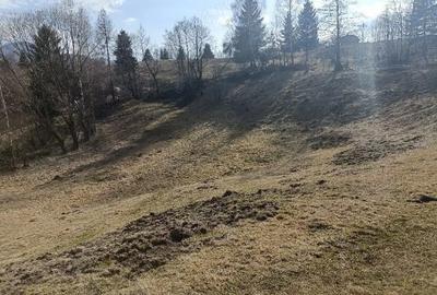 Teren de 3200 mp, în Dâmbovicioara - 7