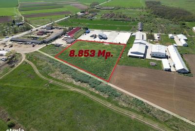 Teren de 8853 mp, în Sălard - 1