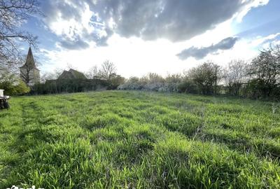 Teren de 5370 mp, în Roșia - 8