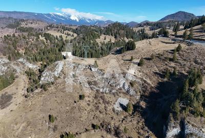 Teren Construcții intravilan de 2058 mp, în Dâmbovicioara - 3