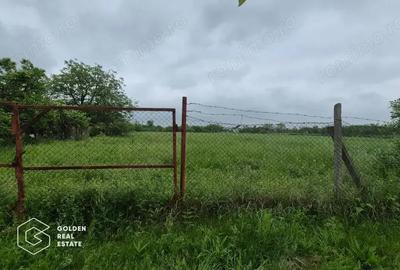 Casa in comuna Alios - 9