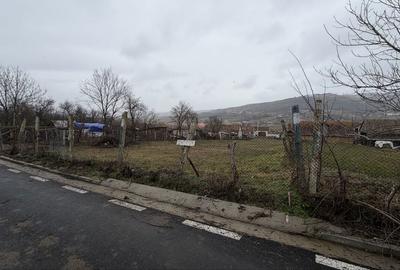 Spațiu comercial, în Păuca - 6