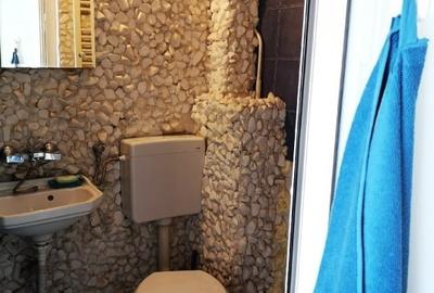 Garsoniera Cismigiu - 2