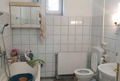 De vanzare apartament pe doua niveluri cu curte proprie - 7