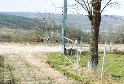 Teren de 1000 mp, în Aroneanu - 5