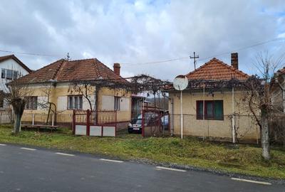 Casă individuală cu 4 camere cu Canalizare în Panc-Săliște - 1