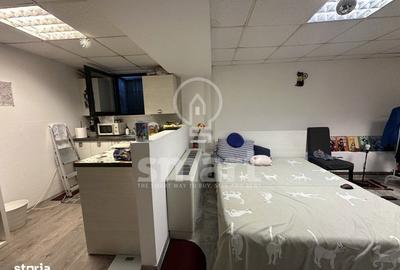Apartament cu 2 camere, mobilat în Europa - 11