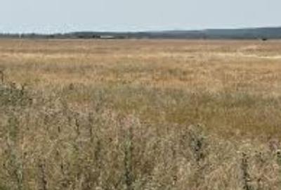 3 hectare de teren agricol in comuna Vulpeni din judetul Olt