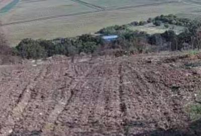 Casă cu 3 camere cu Teren 2500 Mp în Băneasa - 3