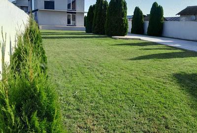 Casă în Brâncoveni - 10
