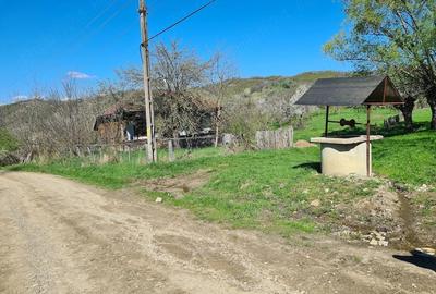 Teren de 5407 mp, în Dumitrești - 5